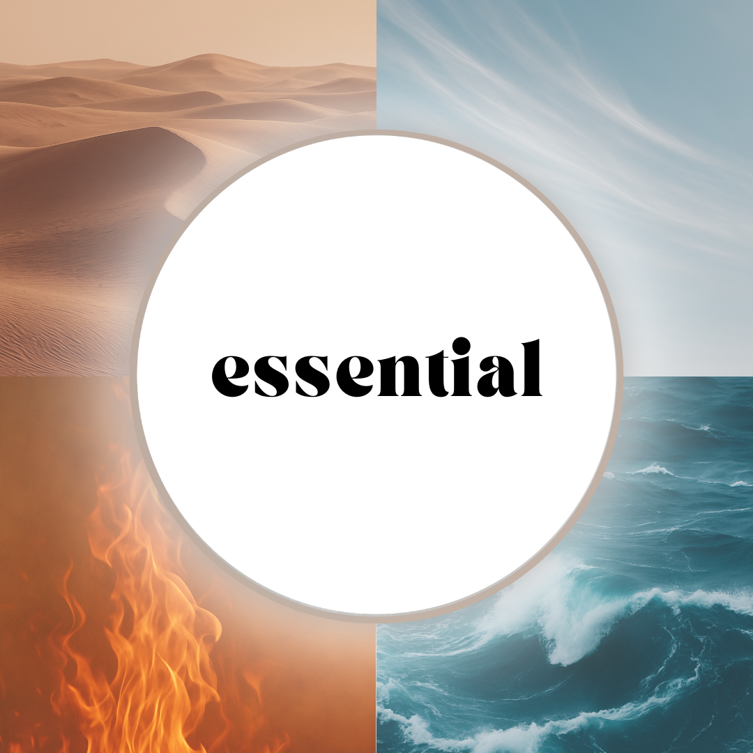 Essential Experience